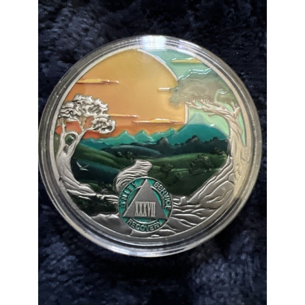 AA 37 Year Sobriety Coin Recovery Addiction NA AA Chip